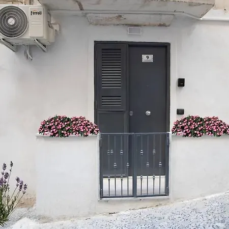 Daire Concordia House Centro Storico Napoli